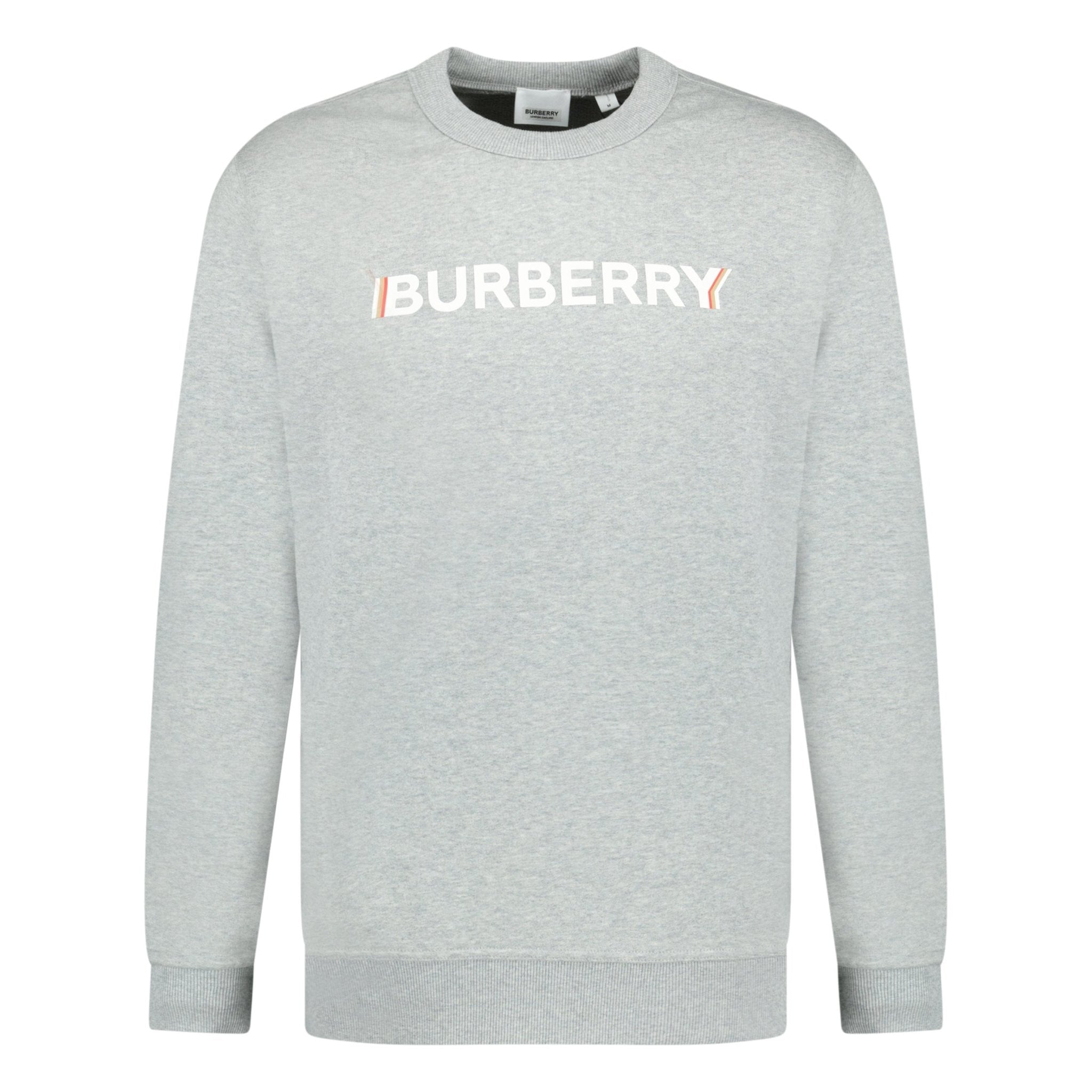 Color variation of 'Fawson' Logo Print Sweatshirt Grey