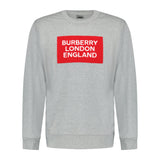 Burberry 'Fawson' Print Cotton Sweatshirt Grey - Boinclo ltd - Outlet Sale Under Retail